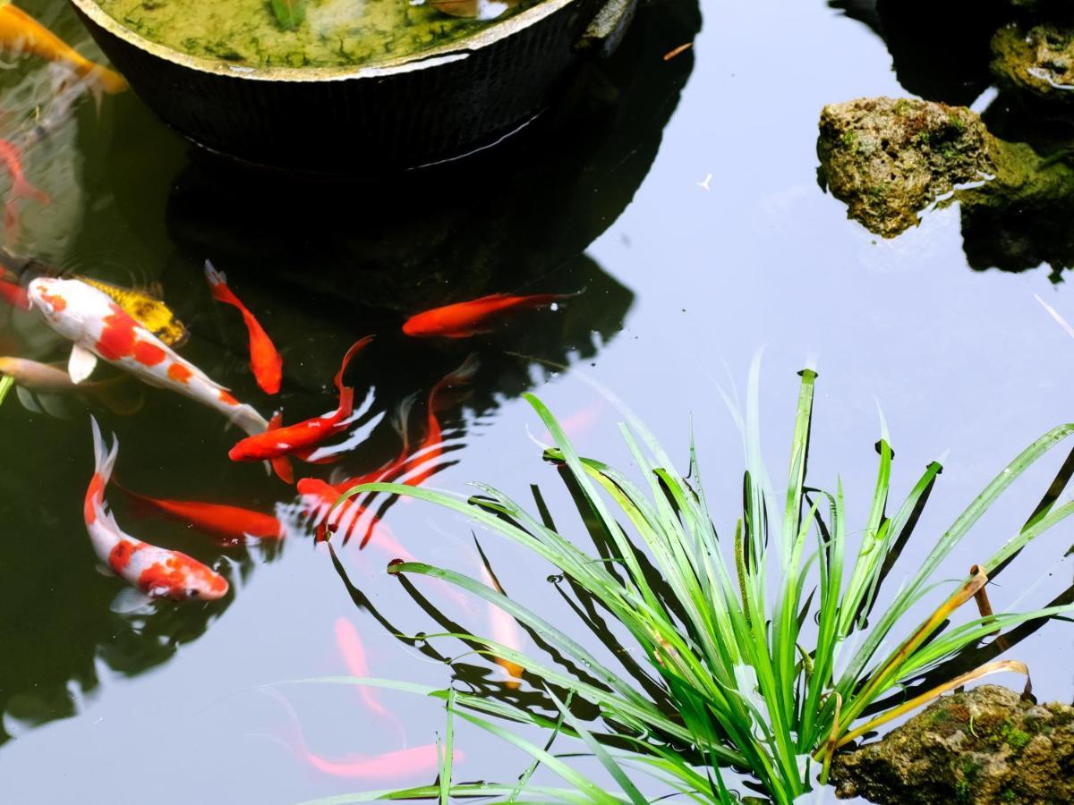 Yi (Anhui) Hong Cun Memory In Water 호스텔 외부 사진